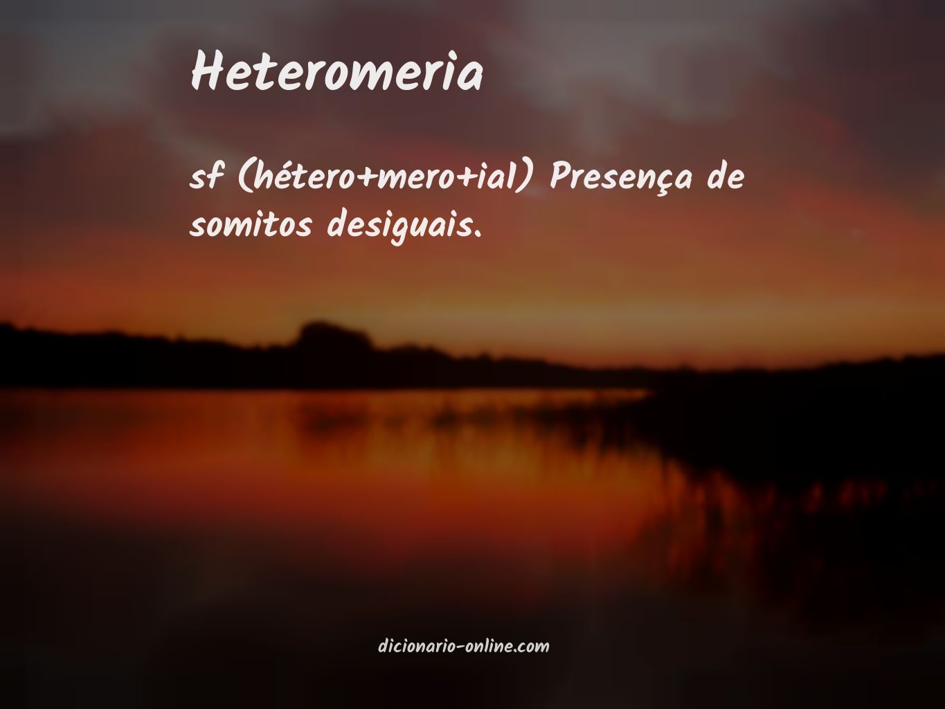 Significado de heteromeria