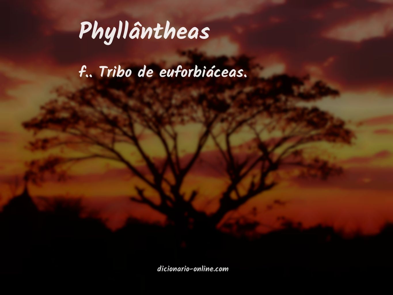 Significado de phyllântheas