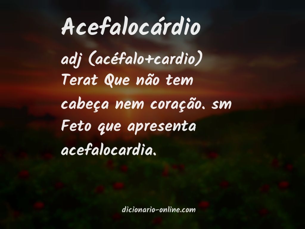 Significado de acefalocárdio