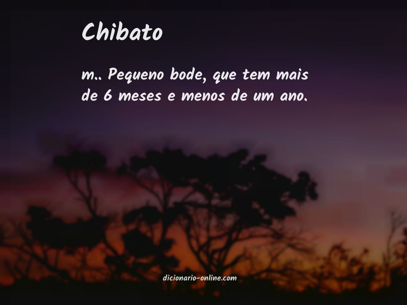 Significado de chibato