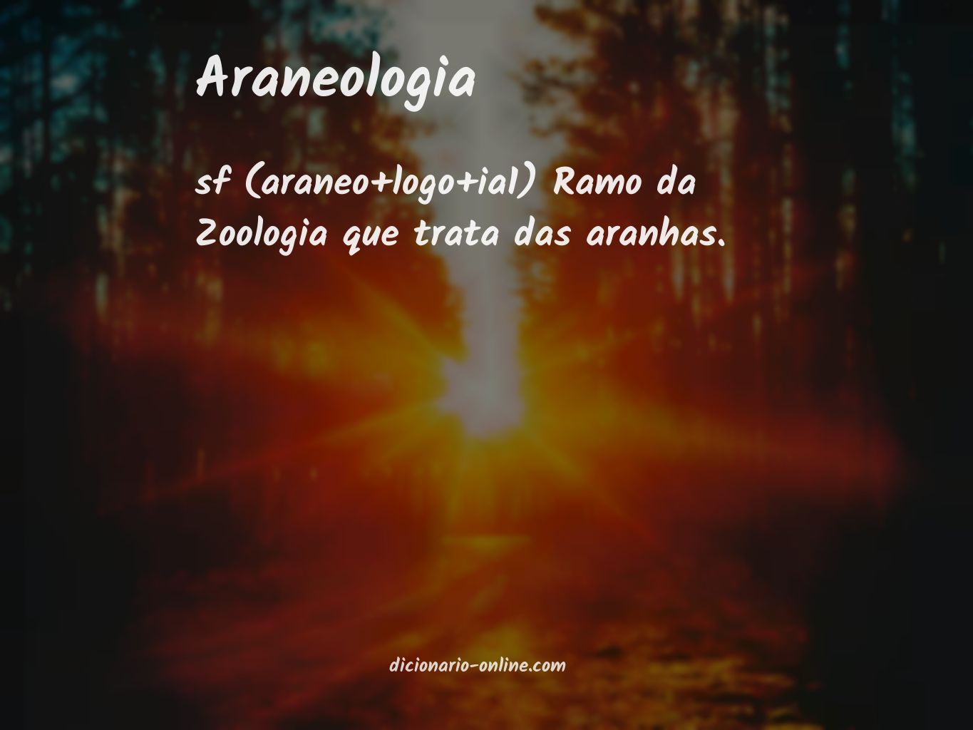 Significado de araneologia