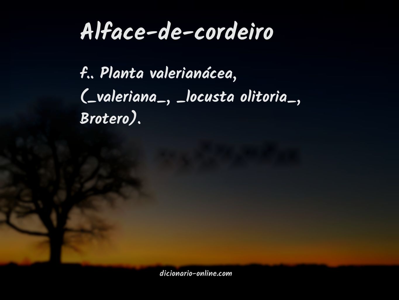 Significado de alface-de-cordeiro