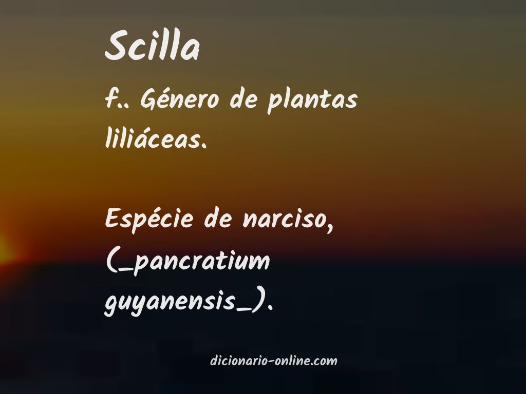 Significado de scilla