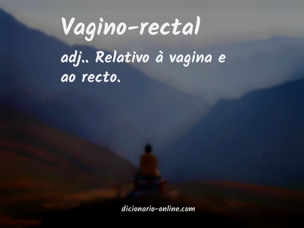 Significado de vagino-rectal