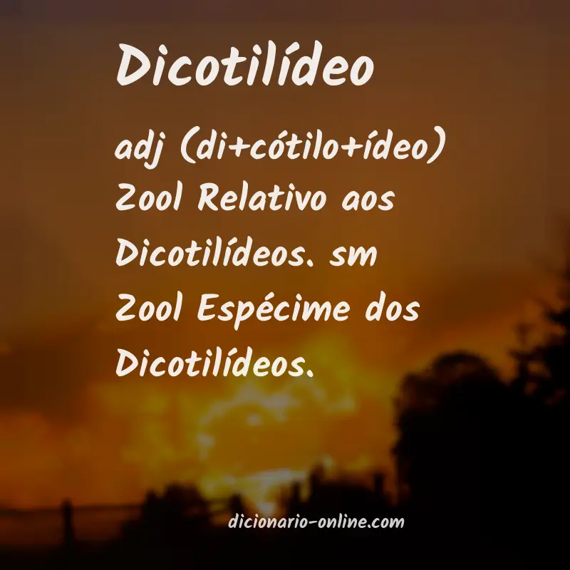 Significado de dicotilídeo