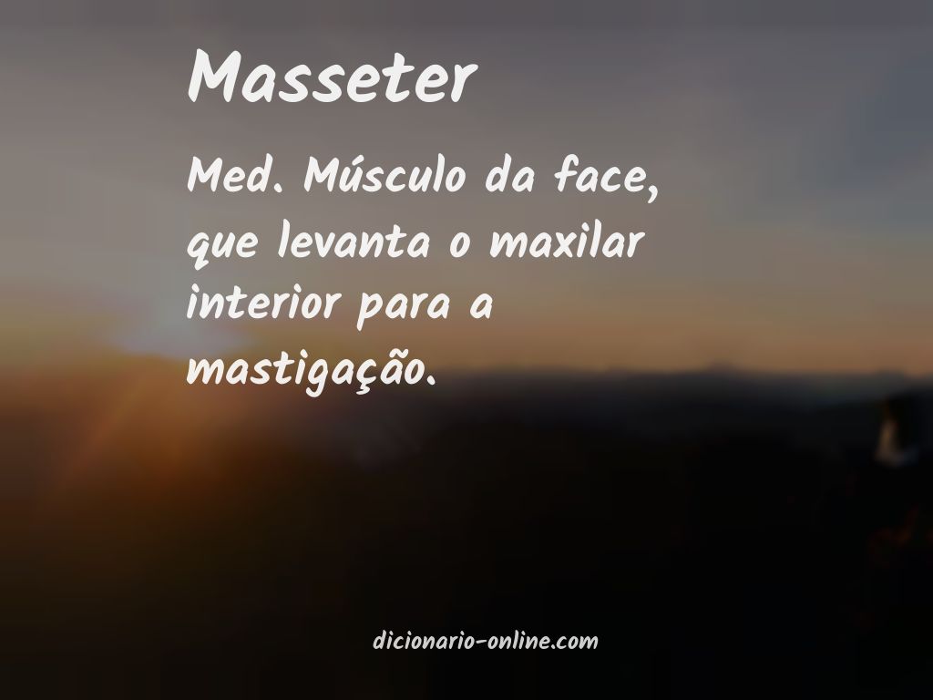 Significado de masseter