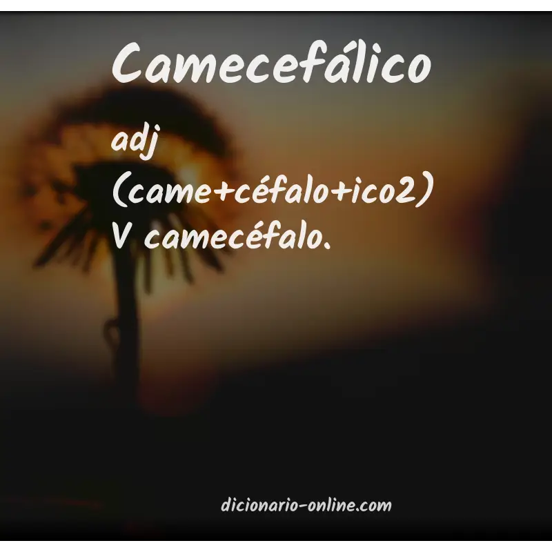 Significado de camecefálico