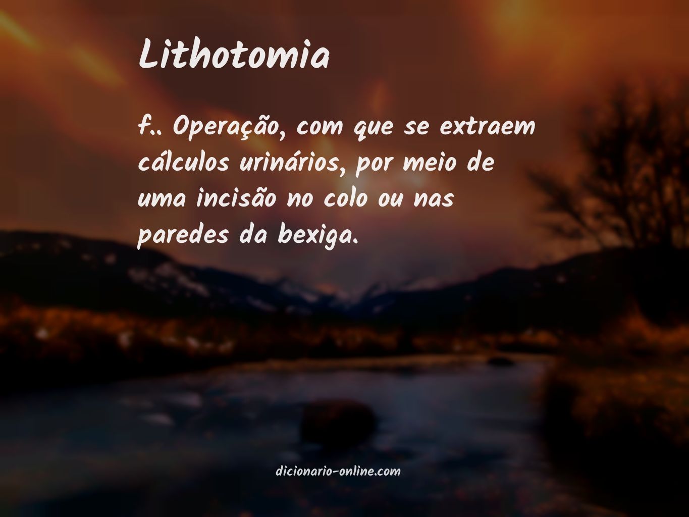 Significado de lithotomia