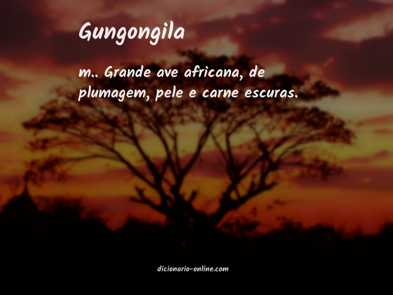 Significado de gungongila