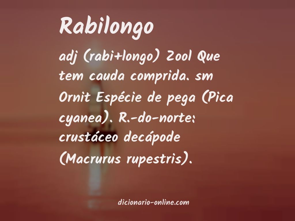 Significado de rabilongo