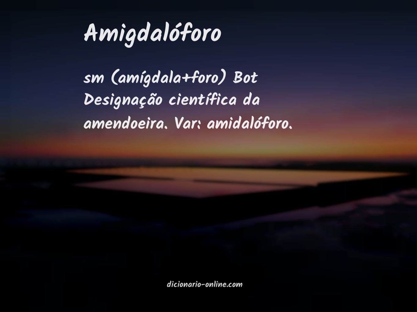 Significado de amigdalóforo