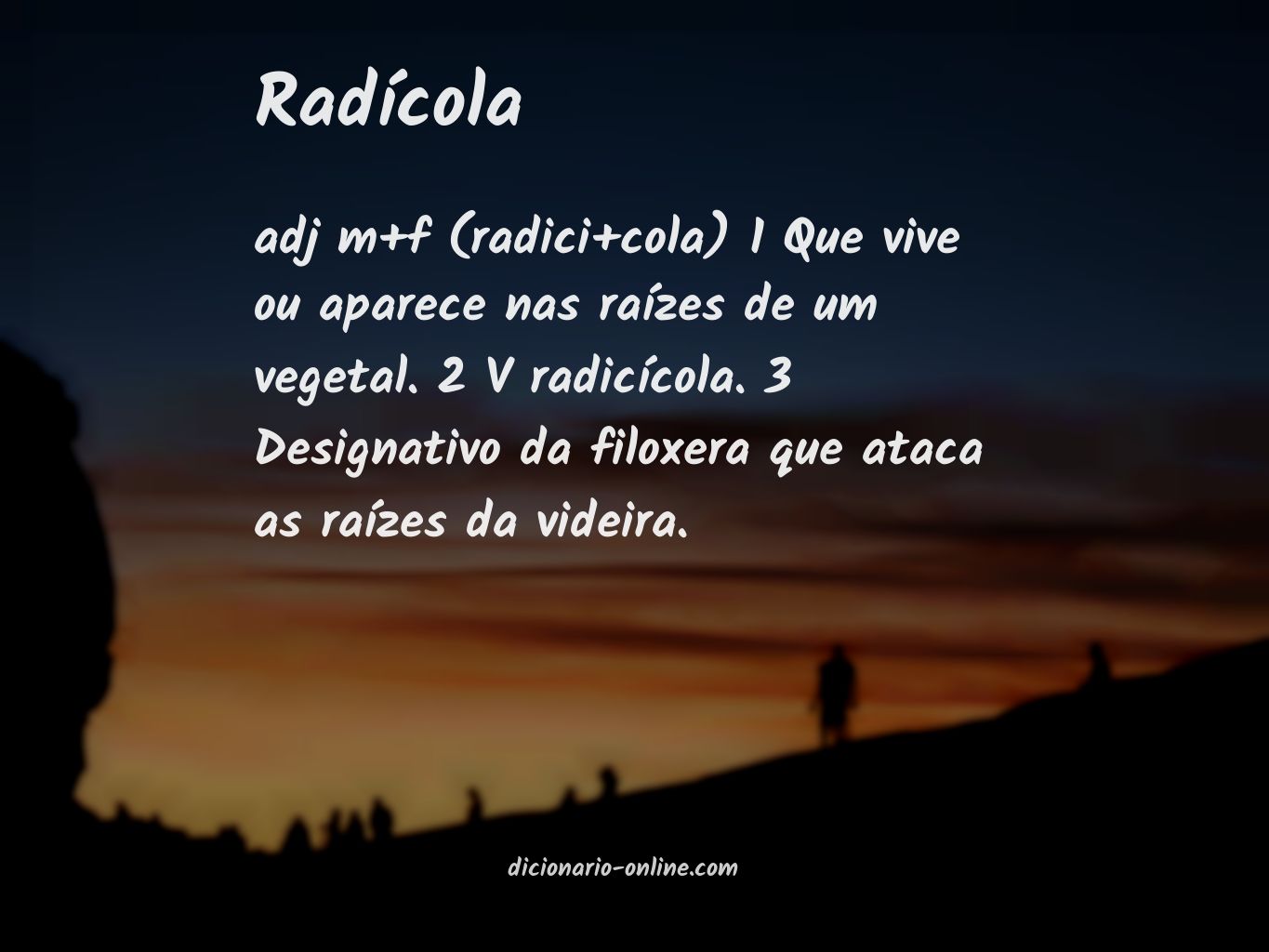 Significado de radícola