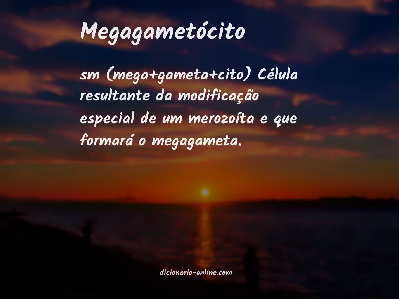 Significado de megagametócito