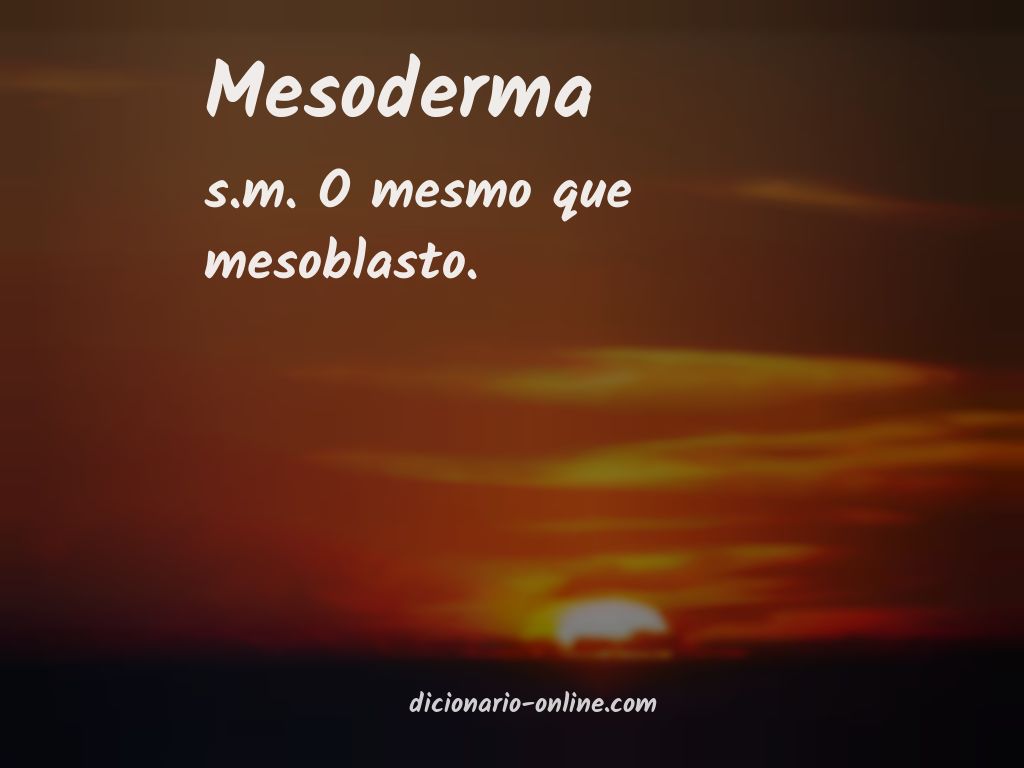 Significado de mesoderma