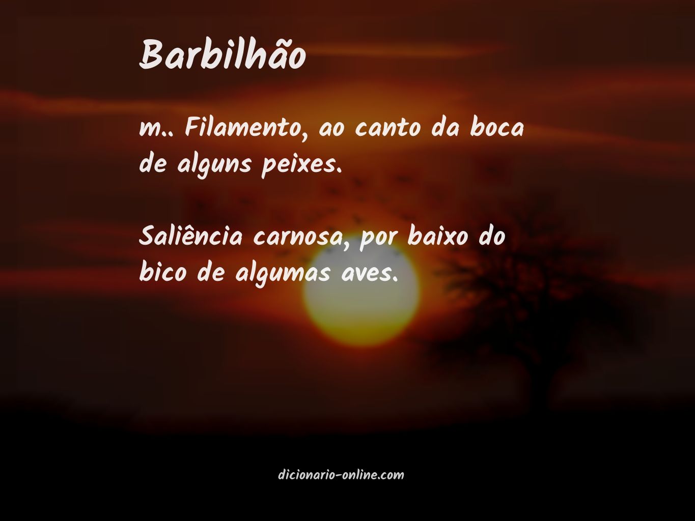 Significado de barbilhão