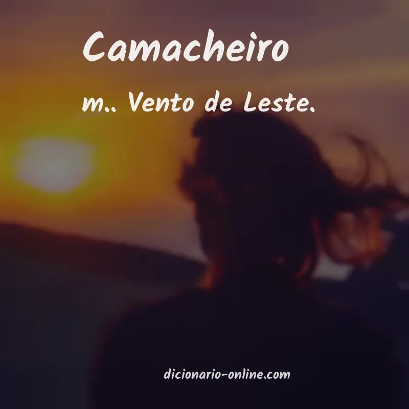 Significado de camacheiro