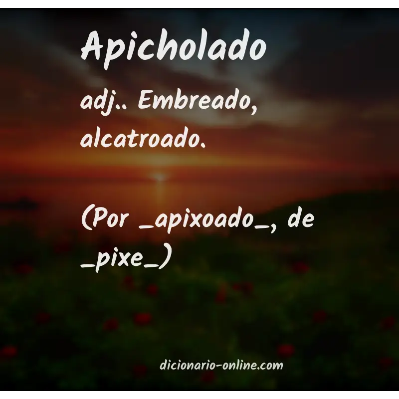 Significado de apicholado