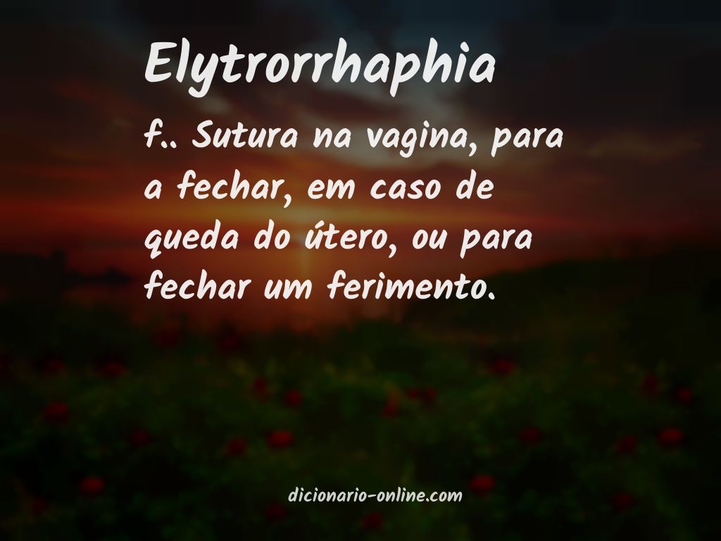 Significado de elytrorrhaphia