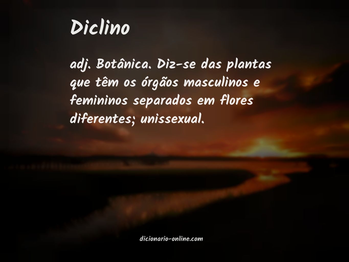 Significado de diclino