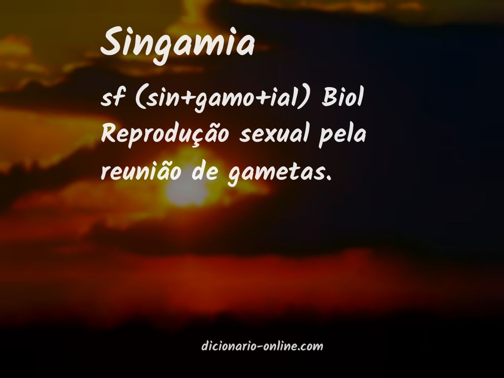 Significado de singamia