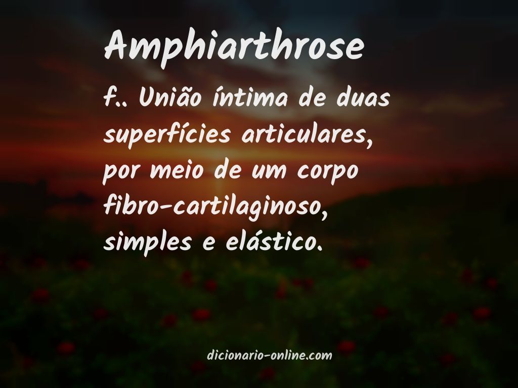 Significado de amphiarthrose