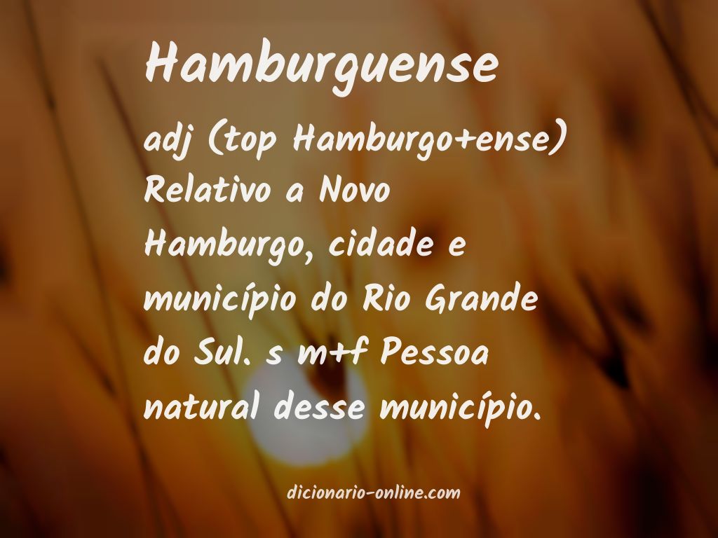 Significado de hamburguense