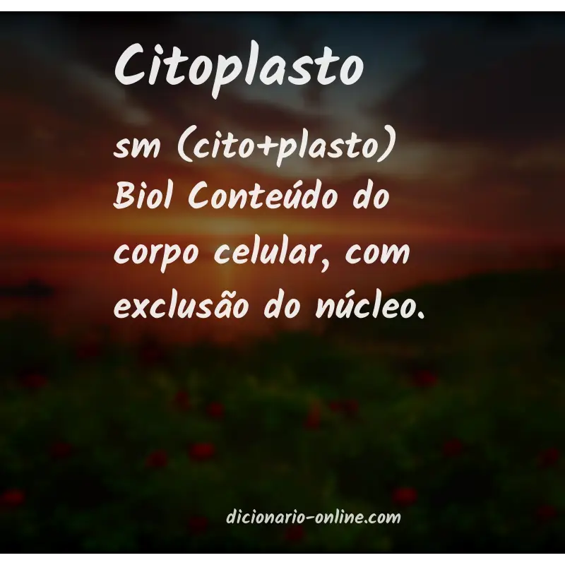Significado de citoplasto