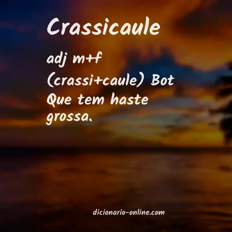 Significado de crassicaule