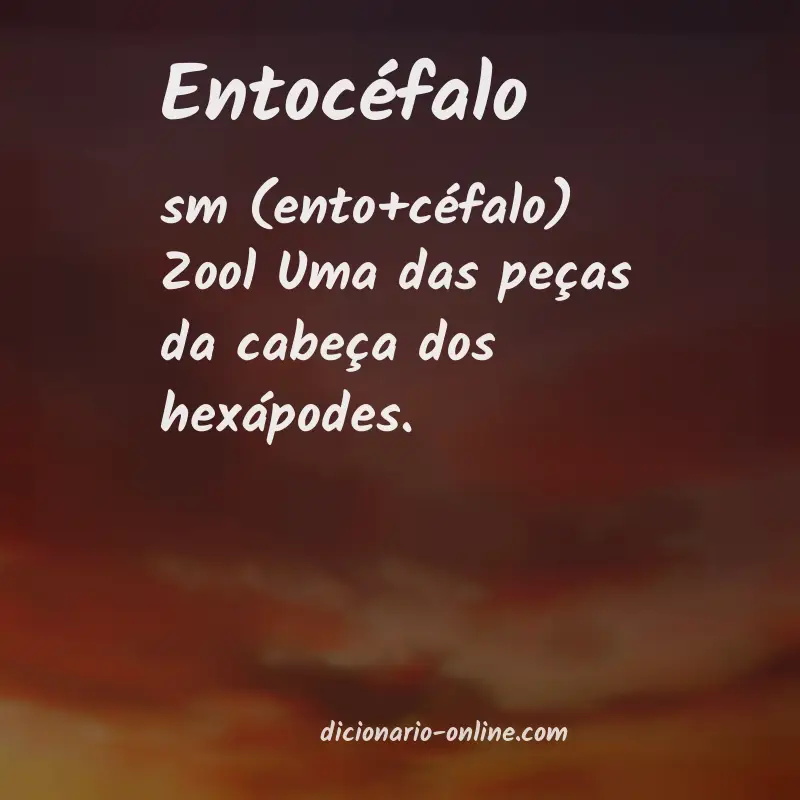 Significado de entocéfalo