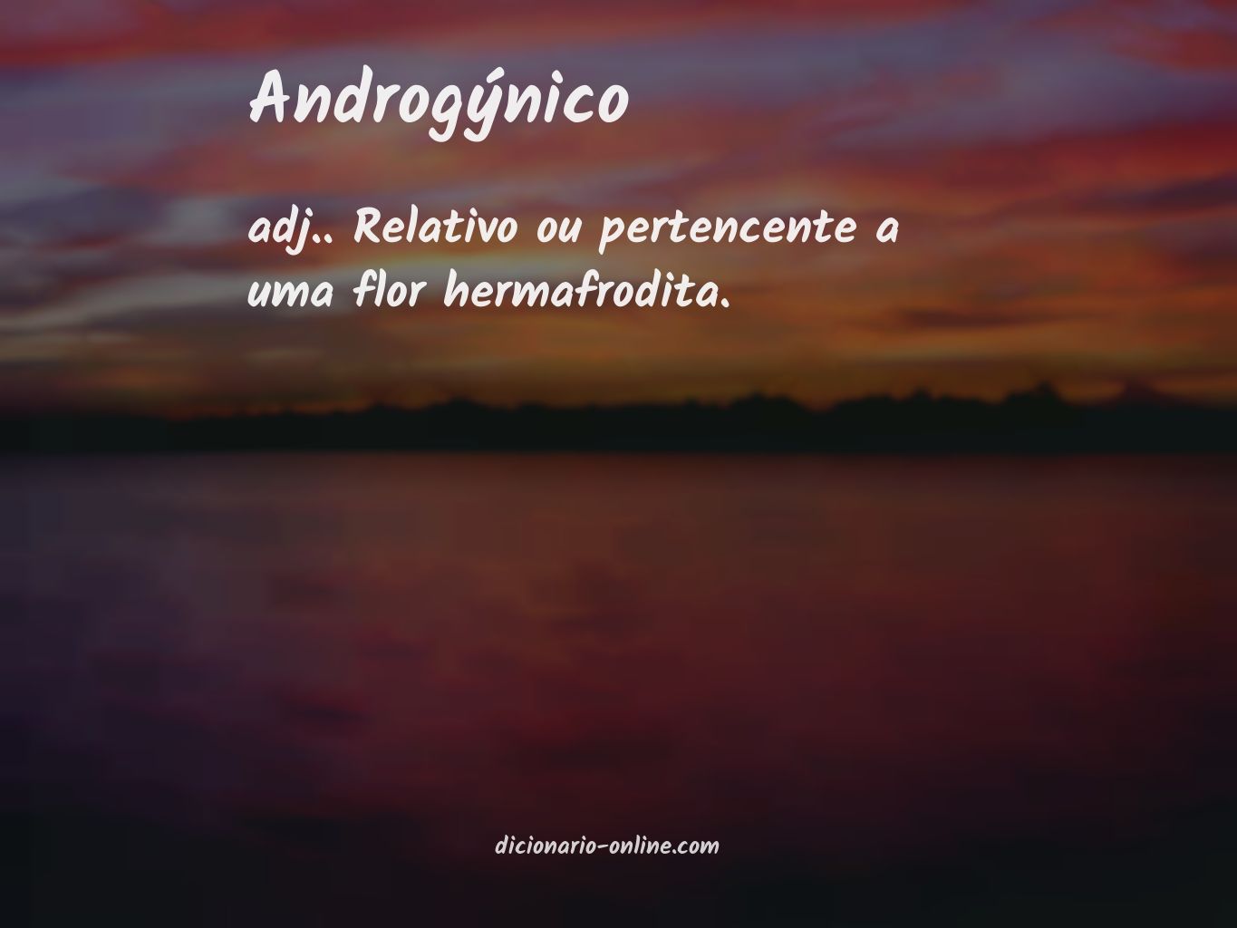 Significado de androgýnico