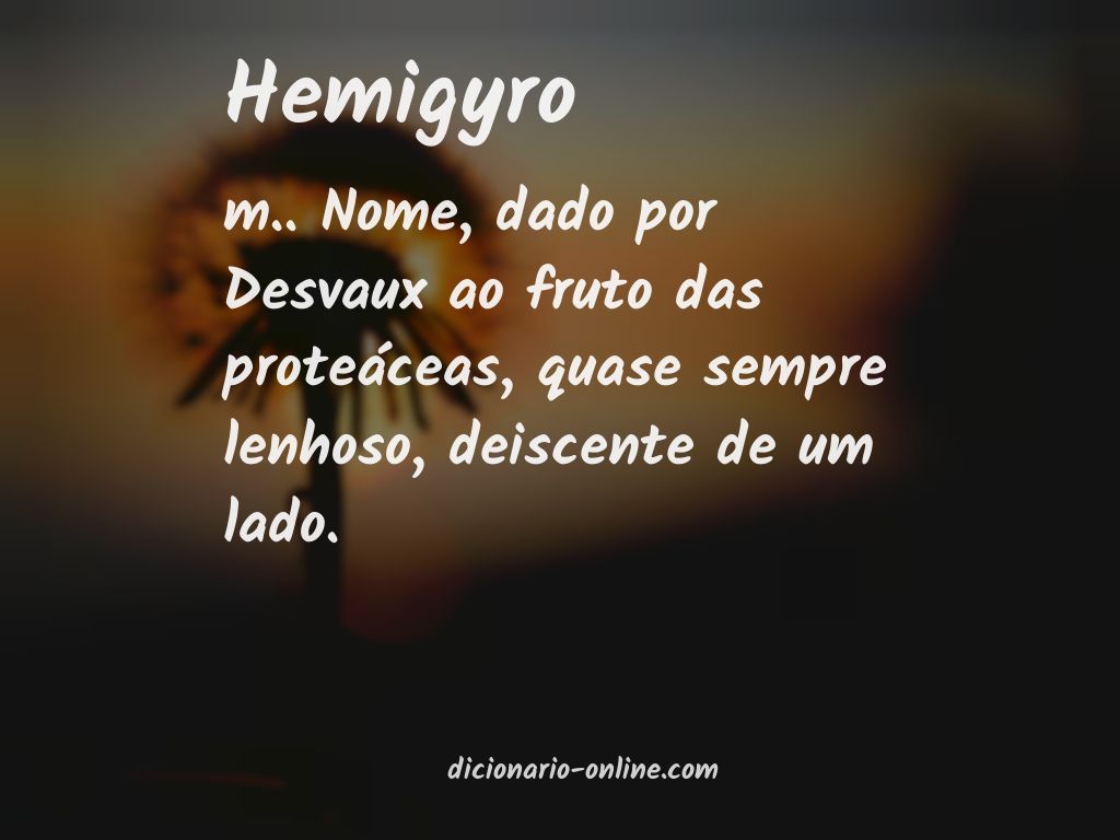 Significado de hemigyro