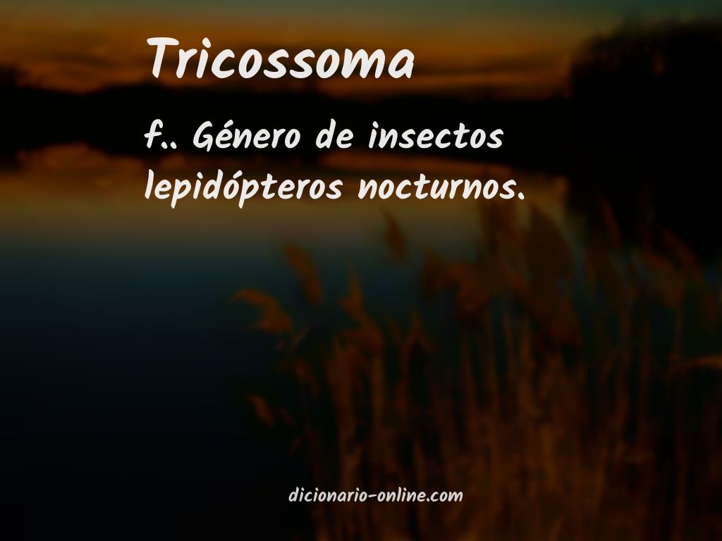 Significado de tricossoma