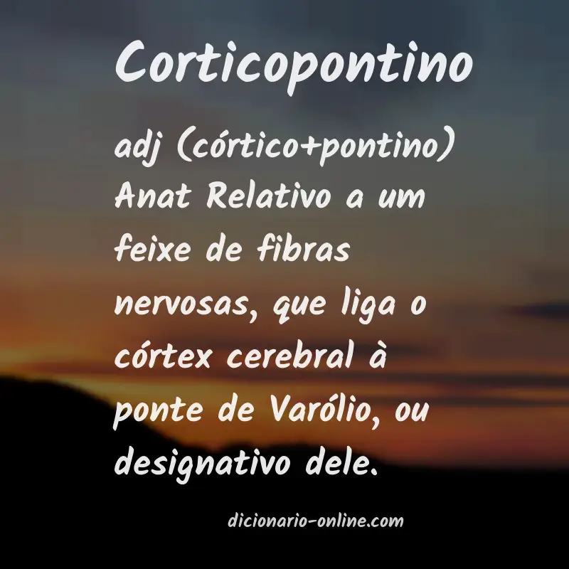 Significado de corticopontino