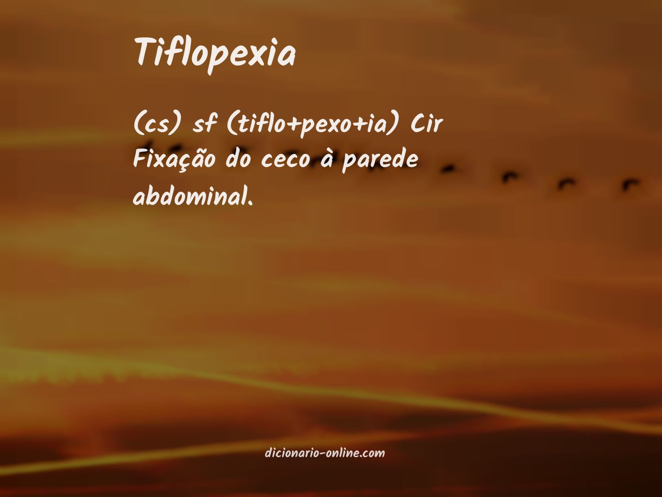 Significado de tiflopexia