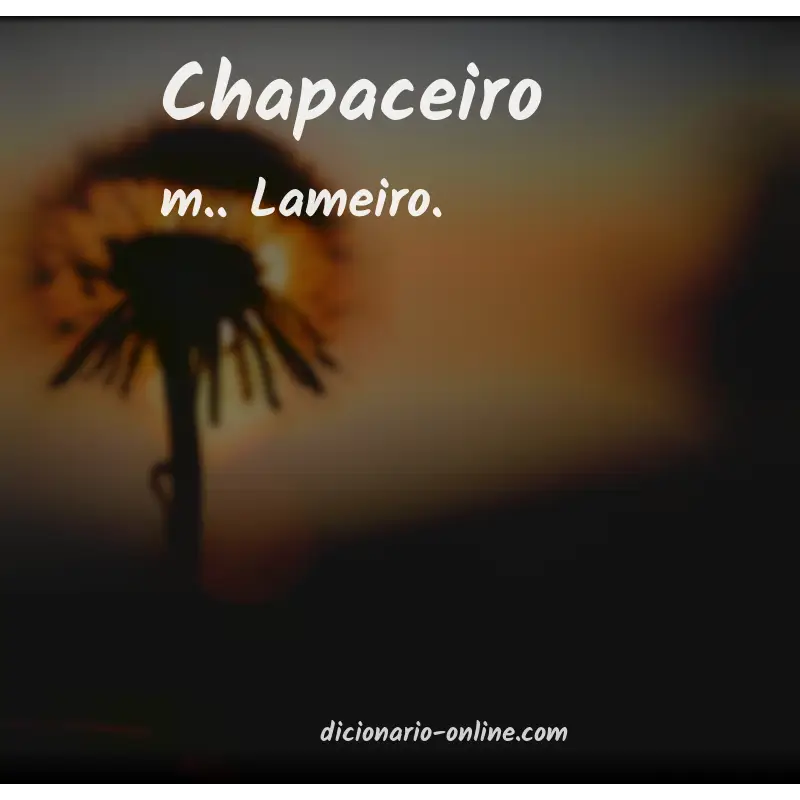 Significado de chapaceiro