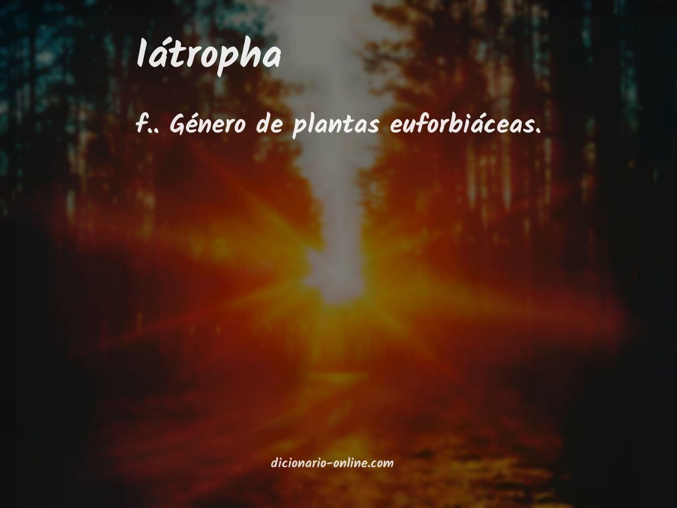 Significado de iátropha