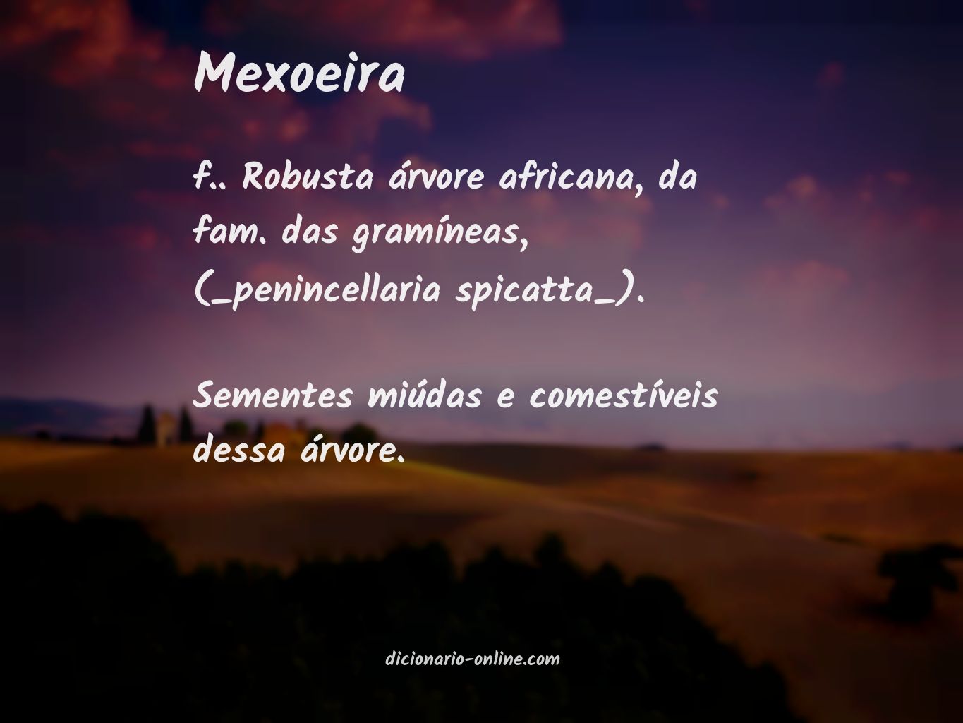 Significado de mexoeira