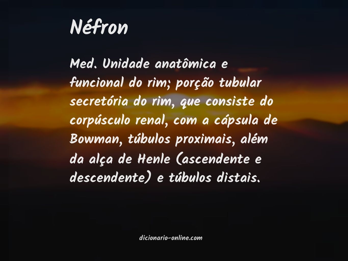 Significado de néfron