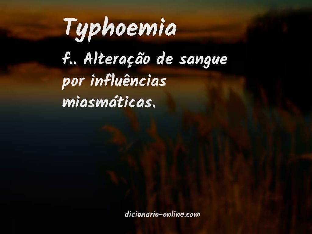 Significado de typhoemia