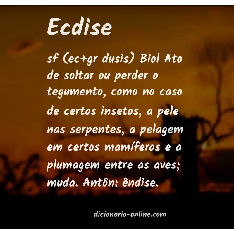 Significado de ecdise