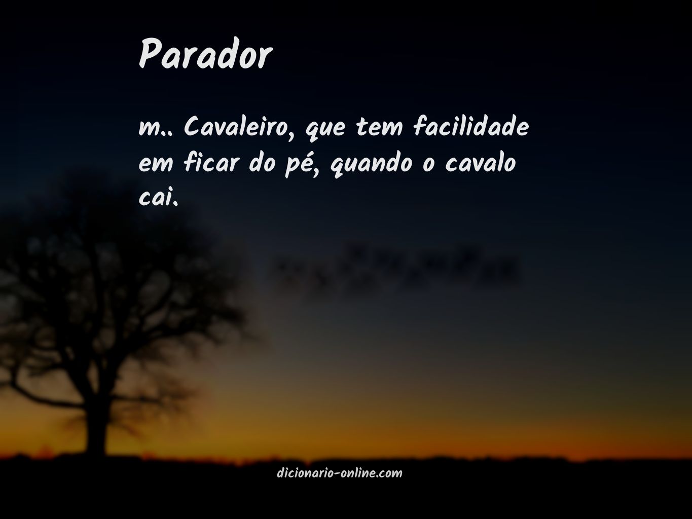 Significado de parador