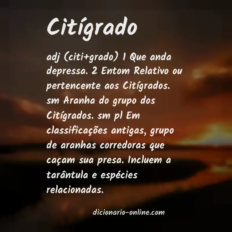 Significado de citígrado