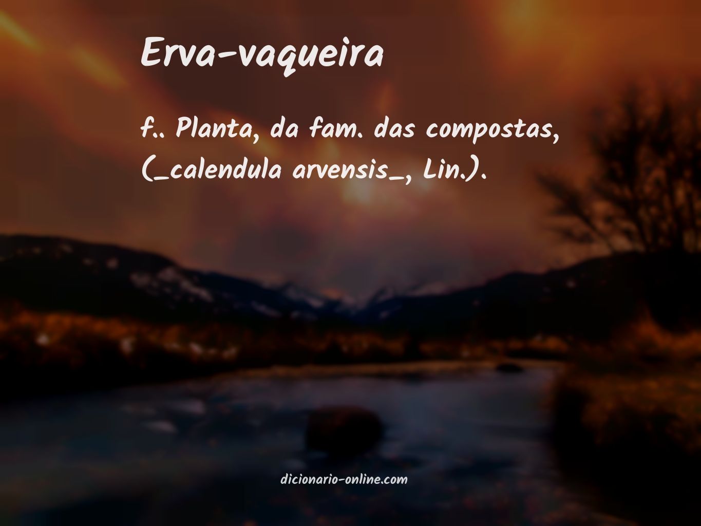 Significado de erva-vaqueira