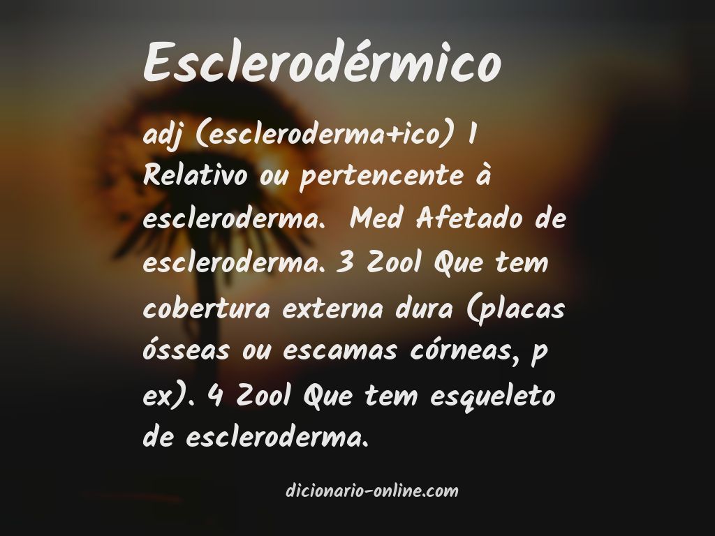 Significado de esclerodérmico