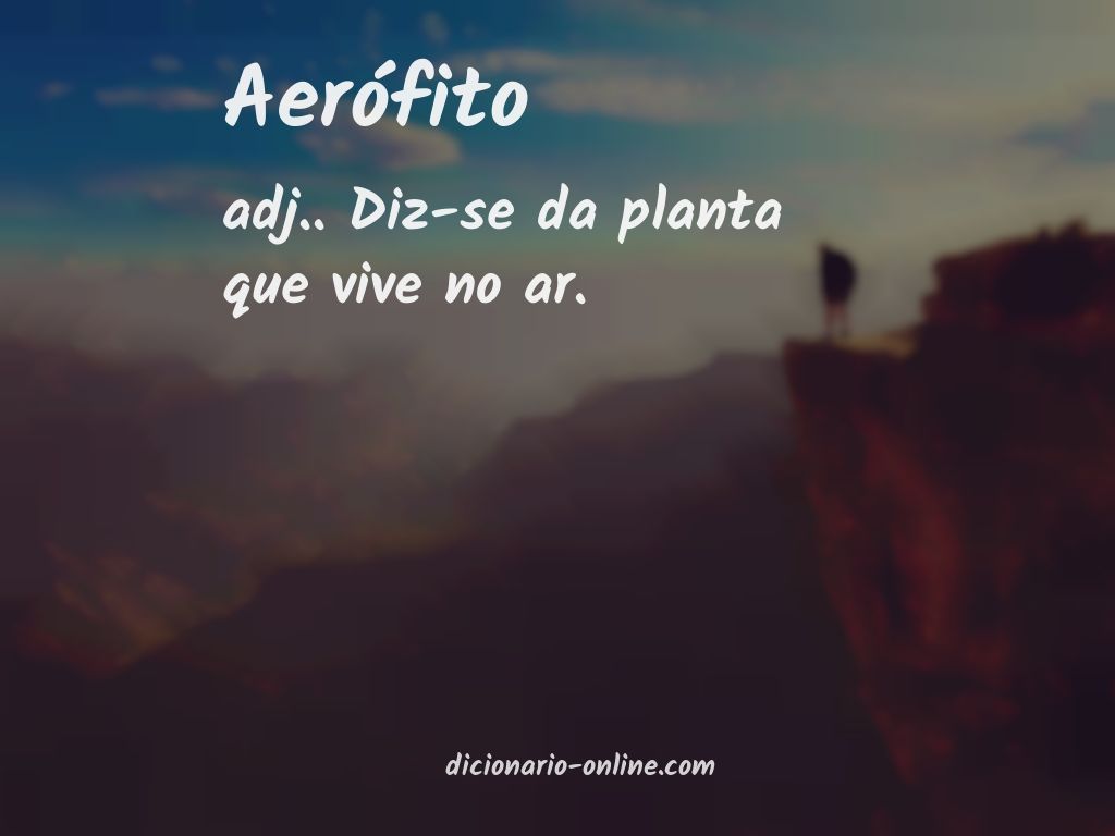 Significado de aerófito