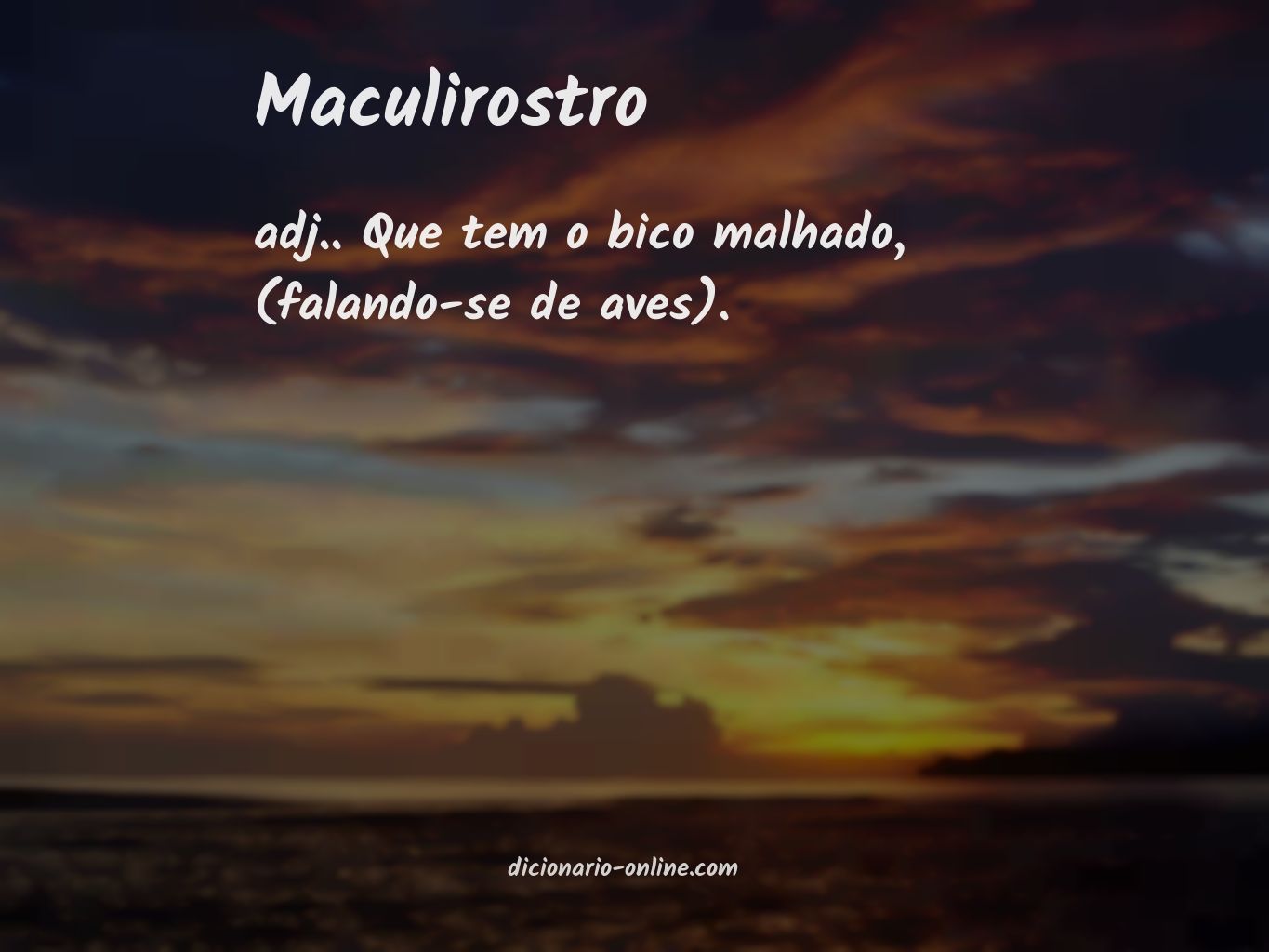 Significado de maculirostro