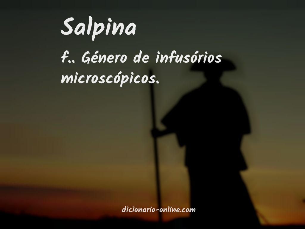 Significado de salpina