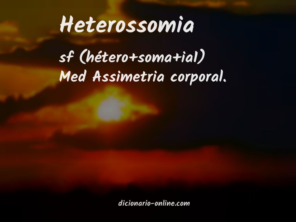 Significado de heterossomia