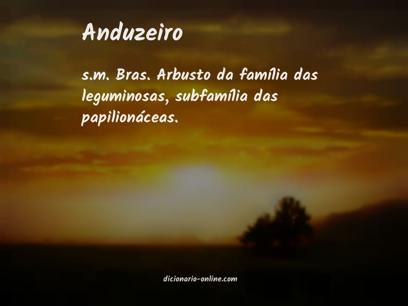 Significado de anduzeiro