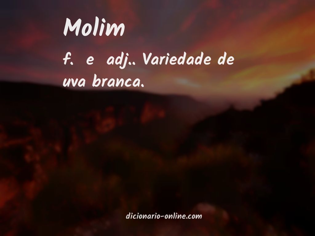 Significado de molim